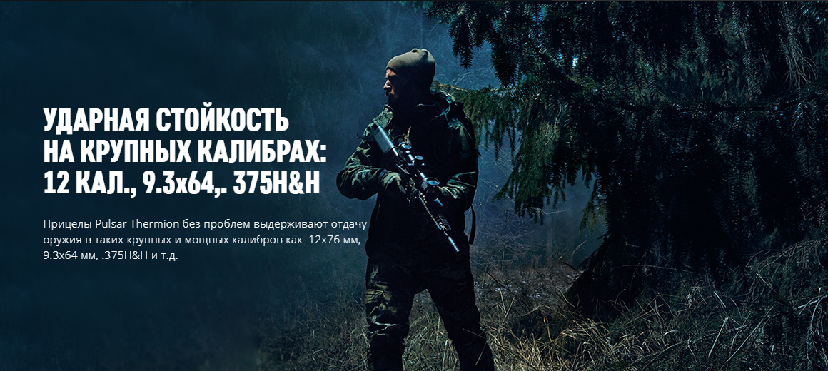 Боковая панель Pulsar Thermion