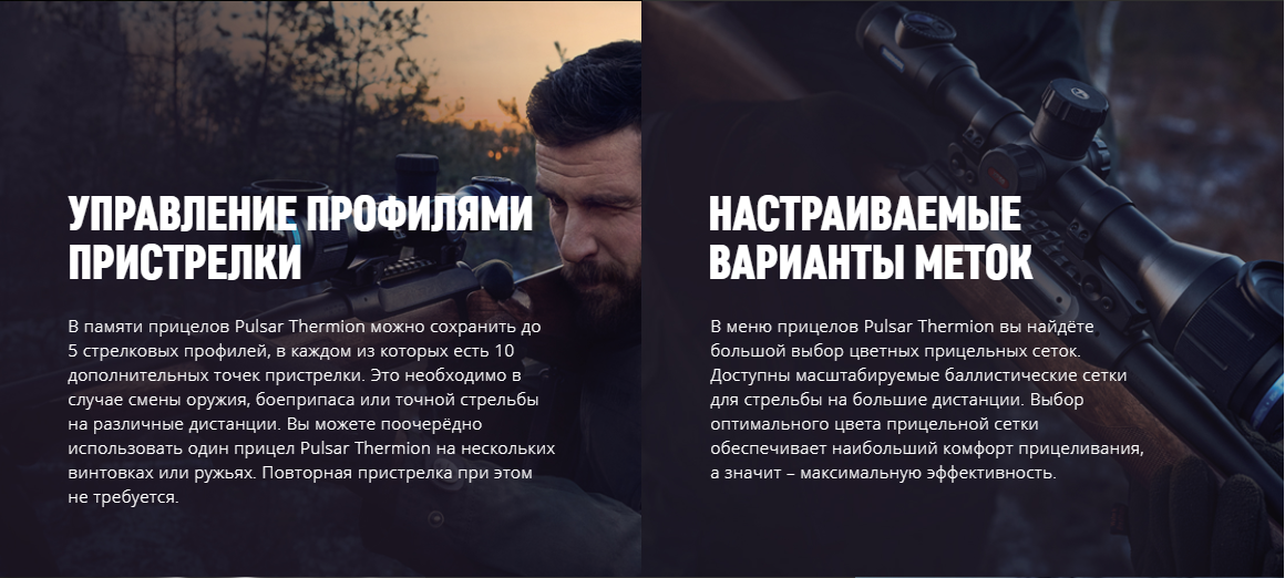 Система управления тепловизора Thermion